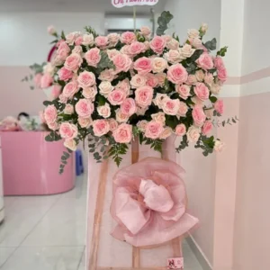 Chúc mừng tiến bước vững chắc